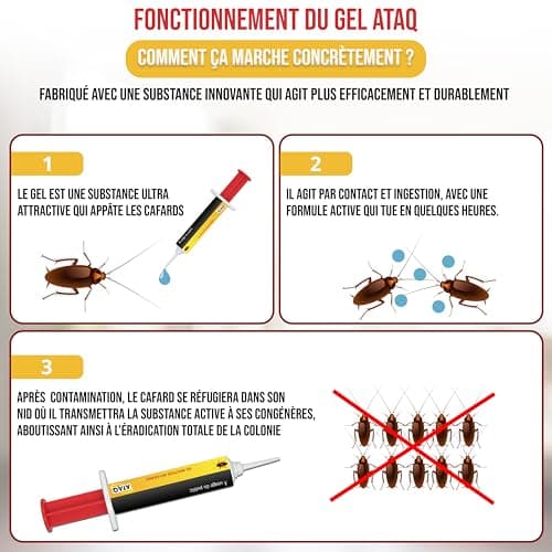 ATAQ Gel Appât Anti Cafards Puissant 10g - Éradicateur Professionnel Éliminant Rapidement les Blattes - Insecticide Effi
